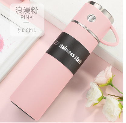 16.91oz Double Wall Stainless Steel Thermal Mug
